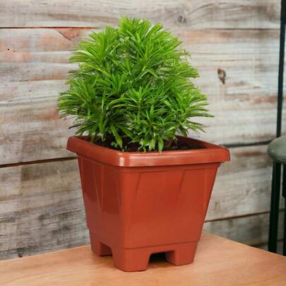 Vaso de Planta Quadrado 28 x 28 x 23 cm Richioto marrom