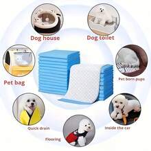 100 pezzi di tappetini assorbenti per animali domestici, spessi e leggeri, con assorbimento degli odori e deodoranti, adatti per animali domestici come gatti Teddy, Golden Retriever, Labrador Retriever, ecc. Pannolini per animali domestici, adatti per l'addestramento degli animali domestici, lettiera per animali domestici, forniture per animali domestici, tappetini assorbenti per animali domestici - Specifiche multiple - Visualizzare 8