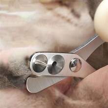 Pet Nail Clippers Nail Trimmers For Cats Dogs Grooming Tools, No Light No Battery - Multicolor - View 3