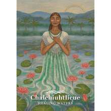 El Oráculo de la Tierra y el Cielo: Una baraja de 48 cartas y un libro guía, libro único - Libro único - Ver 8