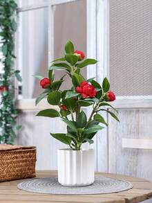 1 Piece Artificial Camellia Bonsai Plant - Outdoor Garden Flower Stand Decoration. Home Office Desk Plant. Family Bathroom Kitchen Shelf Artificial Plant Decoration. - Multicolor - View 7