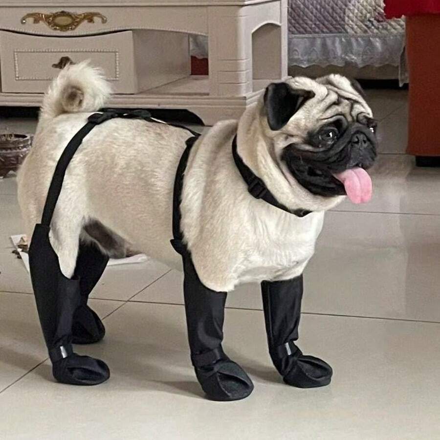 Dog Rain Booties Set - One-Piece Anti-Dirty Design For Rainy Days - Black - View 1