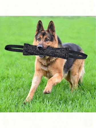 1pc Pet Chew Stick, Durable Bite-Resistant Chew Toy For Dogs