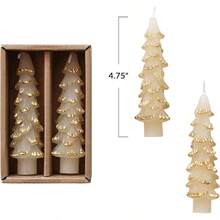 Creative Co-Op - Velas cónicas texturizadas sin perfume en forma de árbol con puntas doradas en caja color ponche de huevo juego de 2 - Ponche de huevo Oro - Ver 6
