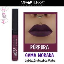 MIA TERRA COSMETICS PAQUETE LABIALES INDELEBLES LIQUIDOS GAMA COMPLETA - GAMA MORADA - Ver 6