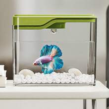 1pc Plastic Mini Fish Tank, Transparent Desktop Aquarium For Home Living Room, Suitable For Turtle - Multicolor - View 8