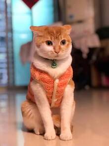 Pet Clothes Dog Cold Weather Coats - Soft Versatile Striped Vest, Dog Fleece Jacket Dog Coat For Small Medium Dogs And Cats, Cat Clothes