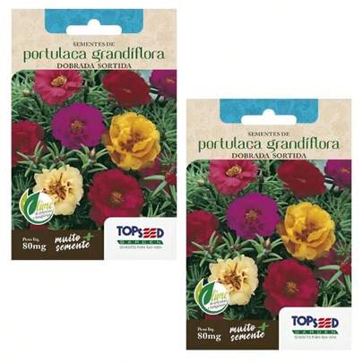 2x Sementes Portulaca Onze Horas Grandiflora Dobrada Sortida