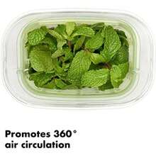 OXO Good Grips GreenSaver Produce Keeper -(Small) - Multicolor - Ver 5