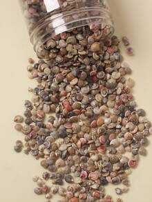 1 Pack 30g Approx 250pcs Natural Beach Mini Spiral Seashells, For Crafts, Aquarium Decor, And Jewelry Making - Brown - View 1