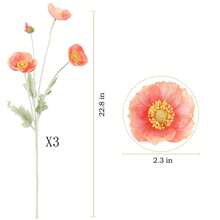 1/3/6 bông hoa anh túc nhân tạo, dài 59cm, 4 bông mỗi cành, kiểu dáng tối giản hiện đại, có thể uốn cong và không phai màu - Thích hợp để tự làm tường hoa, trang trí cảnh quan, cắm hoa trong bình ở phòng khách/phòng ngủ, đám cưới, tiệc tùng, trang trí bàn. Thích hợp cho trang trí mùa thu/đông, nhà cửa, nhà bếp, đám cưới, bàn ăn, văn phòng, sân vườn, ngoài trời. - Dưa hấu đỏ - Xem 8