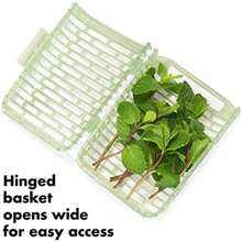 OXO Good Grips GreenSaver Produce Keeper -(Small) - Multicolor - Ver 6