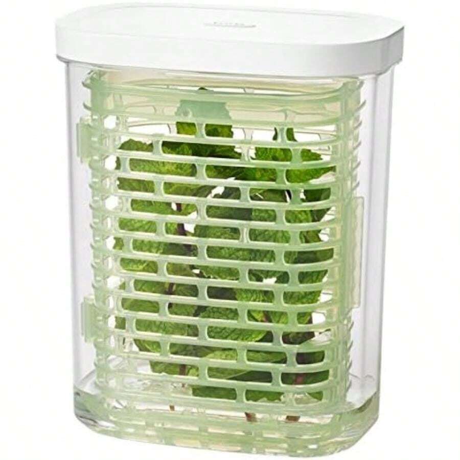 OXO Good Grips GreenSaver Produce Keeper -(Small) - Multicolor - Ver 1