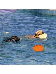 1 chú chó cao su - Dùng để huấn luyện tương tác, vui chơi ngoài trời, chống cắn phá, phù hợp với mọi giống chó và kích cỡ, cho phép cún con chơi đùa tự do (Màu ngẫu nhiên) - Nhiều màu - Xem 9