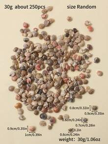 1 Pack 30g Approx 250pcs Natural Beach Mini Spiral Seashells, For Crafts, Aquarium Decor, And Jewelry Making - Brown - View 4