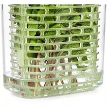 OXO Good Grips GreenSaver Produce Keeper -(Small) - Multicolor - Ver 8
