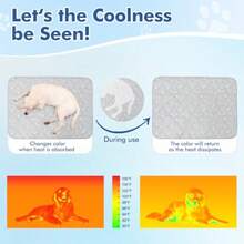 Dog Cooling Mat Elegant Grey110 * 80cm Thicken Cooling Mat For Dogs Dog Cooling Mat Large With Endothermic Color Changing Arc-Chill Cooling Fiber Q-Max>0.5 Washable Non-ToxicandNon-Slip - Grey - View 3