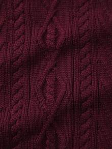 Infant Boys' Collegiate Style Solid Color Cable Knit Sweater Vest, Spring/Summer - Burgundy - View 5