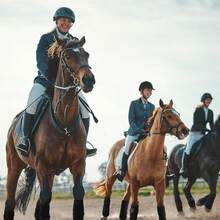 2件装马术用品 - 专业马腿绷带，方便骑马，马腿保护绷带