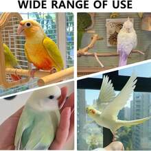 2pcs Bird Perch, U-Shaped Bird Stand Toy, Colorful And Aesthetically (1 Purple + 1 Random Color), Suitable For Claw Grinding And Exercise As Cage Accessories, Applicable For Medium And Small Parrots