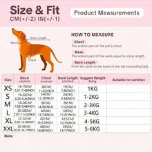 Thick Hairless Cat Clothes, Warm Belly Protective Jumpsuit For Sphynx Cats In Autumn/Winter. Mint Green Faux Lambswool High Collar Cat Outfit, Suitable For Sphynx And Devon Rex Cats. Warm, Skin-Friendly, Non-Stuffy, Cute For Indoor And Outdoor Wear. - Mint Green - View 3