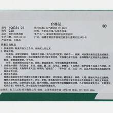 Puma Women's R-SPEEDCAT Casual Sports Shoes, Low-Top 40633407