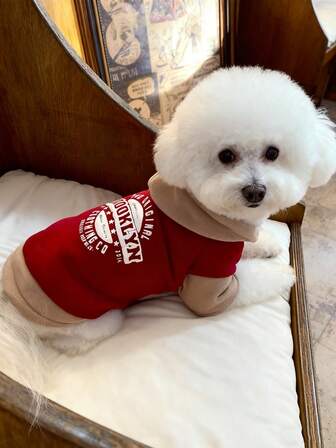  1pc HUITAIYANG Pet Hoodie, Dog Hoodie Cat Hoodie, Pet Hooded Clothes For Dogs And Cats, Warm Clothing For Autumn/Winter, Suitable For Medium And Small Dogs And Cats