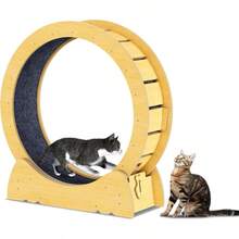 lbyKokila Rueda de Ejercicio para Gatos Cinta de Correr con Pista Alfombrada Antideslizante Ruido Bajo para Correr Caminar y Entrenar - Ejercitador Interior para Gatos Medianos/GrandesLBY181 - Multicolor - Ver 1