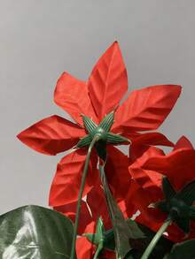 5 główek/1 bukiet sztucznych kwiatów poinsecji, krzewów, kwiaty świąteczne na werandę, do domu, ogrodu, do wnętrz i na zewnątrz (czerwony)