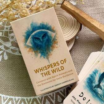 78张神谕卡，荒野低语神谕卡牌组，卡牌游戏，冥想礼物，每日反思塔罗牌，游戏礼物，12*7厘米