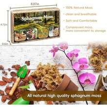 Sphagnum Moss,Sphagnum Moss For Plants,4 QT Natural Long Fibered Sphagnum Peat Moss,Premium Dried Orchid Moss For Orchids Succulents Carnivorous Potted Plant Gardening & Reptiles - 4 QT - 查看 2