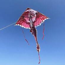 3D Cut Mysterious Ice Dragon Kite - Durable Polyester, Suitable For Outdoor Beach & Park Fun, Creative Holiday Gift Idea, Best Choice, Perfect Gift (Includes 100m Kite String) (The Picture Does Not Show The Kite String Due To Beautification)