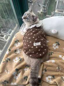 Soft & Warm Palace Style Pet Dress With Bow Tie, Suitable For Small & Medium Dogs & Cats, Indoor Wear - Multicolor - View 12