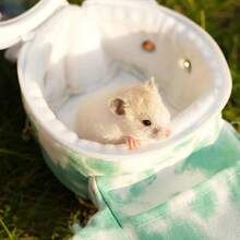 Pet Backpack - Green - View 9