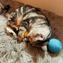 互动式剑麻猫抓球，经久耐用，耐抓挠，帮助猫咪清洁牙齿。适合所有年龄段的猫咪追逐、啃咬和磨爪，释放活力。 - 彩色 - 查看 6