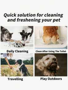 80pcs/Pack Non-Woven Pet Cleaning Wet Wipes, Outdoor Pet Supplies, Universal EDI Pure Water Alcohol-Free Wet Wipes, Disposable Wet Wipes - White - View 5