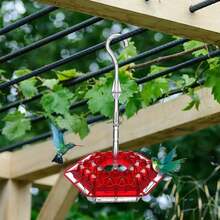 Hanging Multicolor Hexagonal Hooked Hummingbird Feeder, Garden Bird Feeder 2-Piece Set Hummingbird Feeders For Outdoors, With Hook Hummingbird Feeders For Outdoors Hanging Ant And Bee Proof, Easy To Clean And Refill, Yard Garden Decoration - màu xanh lá - Xem 2