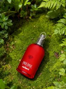 Perfume Intelectual 100ml para Hombre Aroma Seco de Hierbas Secas Tabaco y Té Negro Estudio Biblioteca - Fougère - Ver 11