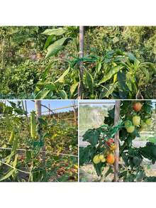 1 根 164/328 英尺长绿色园艺绳，2 毫米天然黄麻绳，适用于植物、插花、捆扎、工艺品制作、圣诞包装 - 彩色 - 查看 5