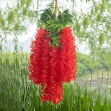 12pcs Simulation Wisteria Tofu Pudding String Violet Plastic Silk Flower Decoration Vine Ceiling Flower Wedding False Flower Vine - Red - View 7