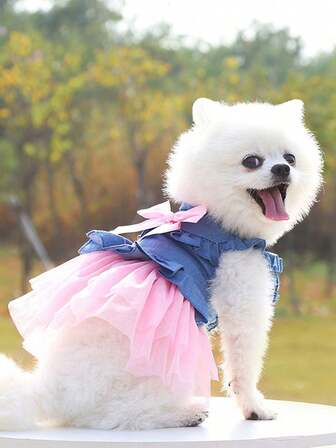 1pc Pet Tulle Skirt & Denim Top Outfit, Suitable For Small To Medium Cats And Dogs