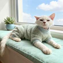 Thick Hairless Cat Clothes, Warm Belly Protective Jumpsuit For Sphynx Cats In Autumn/Winter. Mint Green Faux Lambswool High Collar Cat Outfit, Suitable For Sphynx And Devon Rex Cats. Warm, Skin-Friendly, Non-Stuffy, Cute For Indoor And Outdoor Wear. - Mint Green - View 14