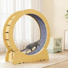 lbyKokila Rueda de Ejercicio para Gatos Cinta de Correr con Pista Alfombrada Antideslizante Ruido Bajo para Correr Caminar y Entrenar - Ejercitador Interior para Gatos Medianos/GrandesLBY181 - Multicolor - Ver 8