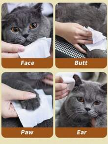 80pcs/Pack Non-Woven Pet Cleaning Wet Wipes, Outdoor Pet Supplies, Universal EDI Pure Water Alcohol-Free Wet Wipes, Disposable Wet Wipes - White - View 3