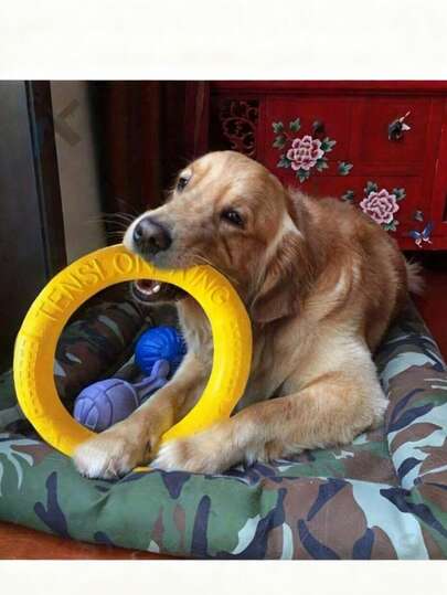 Indestructible Dog - Designed For Chewing Dogs, Durable & Waterproof Fetch Toy Suitable For Summer Pool, Beach Training And Retrieving Games, Suitable For Small And Large Dogs - Great Mother's Day Gift