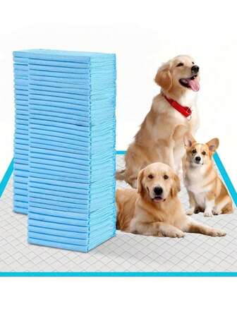 100/50/40/20개 초흡수성 일회용 강아지 기저귀 패드 – 탈취 및 냄새 제거 PET 동물 기저귀 패드, 고양이와 강아지 훈련에 적합합니다. 이 패드는 뛰어난 흡수성을 특징으로하며, 누출 방지, 통기성이 있으며, PET 동물을 깨끗하게 유지하도록 설계되었습니다.