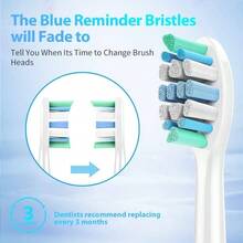 Toothbrush Heads Compatible with Toothbrush, 8 Pack Brush 4100 5100 6100 HX9023 G2 Pack of 8 - Azul - Ver 4