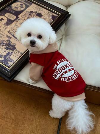  1pc HUITAIYANG Pet Hoodie, Dog Hoodie Cat Hoodie, Pet Hooded Clothes For Dogs And Cats, Warm Clothing For Autumn/Winter, Suitable For Medium And Small Dogs And Cats