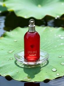 Eau de Toilette para Oficina 50ml para Hombre - Fougère - Ver 3