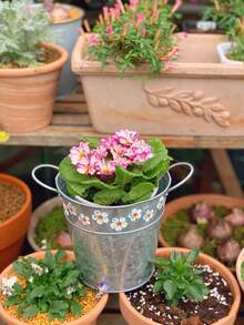1 chậu trồng cây mini bằng sắt dập nổi kiểu cổ điển - Bình hoa để bàn bằng sắt, chậu trồng cây bằng sắt (thích hợp cho sân và ban công), dùng cho cây nhỏ, trang trí sân vườn ngoài trời. - Nhiều màu - Xem 8